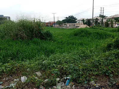 Well Situated Land
