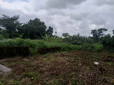 Bare Land Measuring Approximately 2, 353 Square Meters
