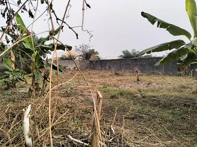 Fenced Dry Land