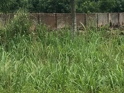 A 15 Acres of Fence Land with C of O