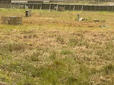 300SQM of Bare Landed Property