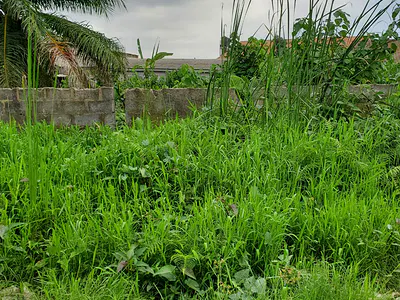 600SQM Land