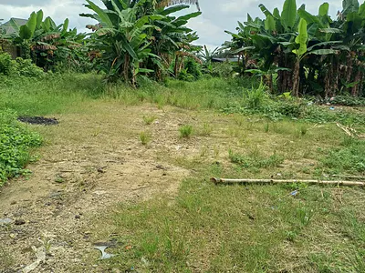 2 Plots of Land
