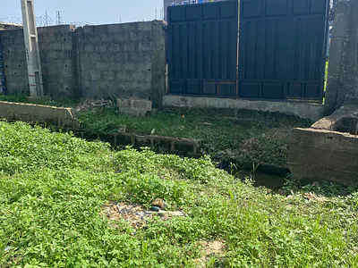 A Half Plot of Land