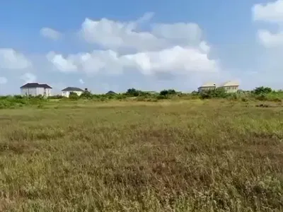 Land with Governor's Consent