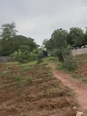 1295SQM of a Residential Land