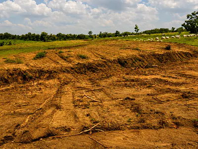 1000sqm-Deveploment Site