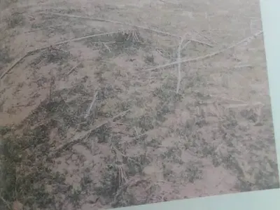 C of O Plot Land — Navy Estate Phase 2 Gate, Karshi, Nasarawa