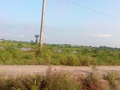 164 Acres of Prime Investment Land for Visionary Investors
