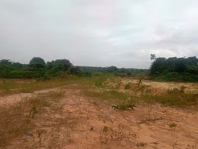 164 Acres of Prime Investment Land for Visionary Investors — Ibeju Lekki, Lagos