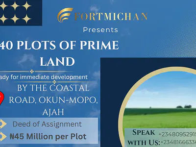 40 Plots of Prime Land