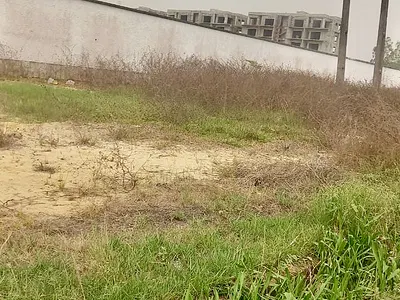 1 Hectare of Land for Smart Investment