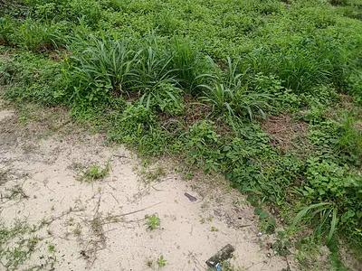 Strategic 23000 SQM Plot