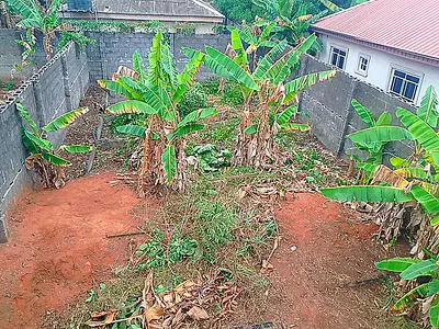 Uncompleted House