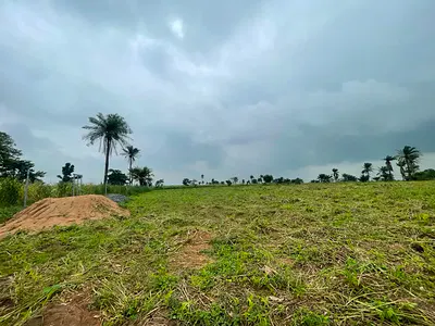 Land Plots for Sale