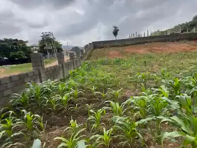 Residential Land