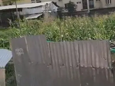 1200SQM of a Residential Land