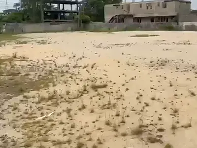 3376 SQM of Mix Use Dry Land
