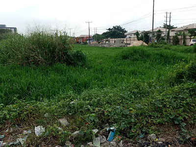 Well Situated Land