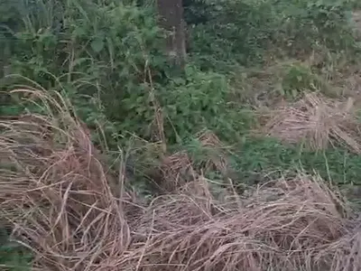 A Plot of Land — Beechwood Estate, Malete, Ibeju Lekki, Lagos