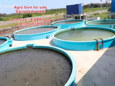 Agricultural Fish Farm (1, 000 Metric Tons of Fish Production Capacity)