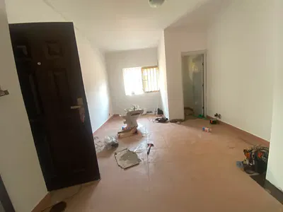 Beautiful Mini Flat