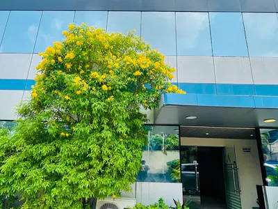 Prime Hotel Property