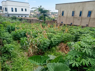 324SQM Land in a Secure Estate