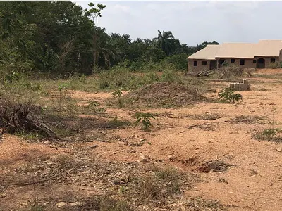 2 Plots of Land in a Serene Location