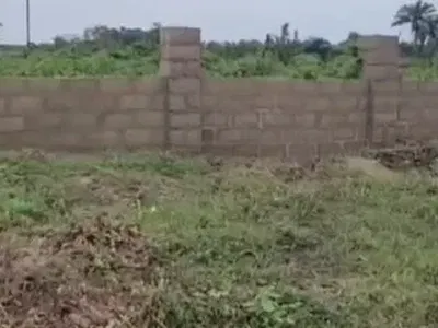 Land