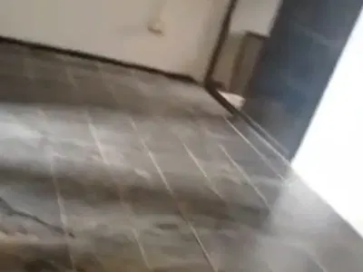 A Renovated 2 Bedroom Block of Flats