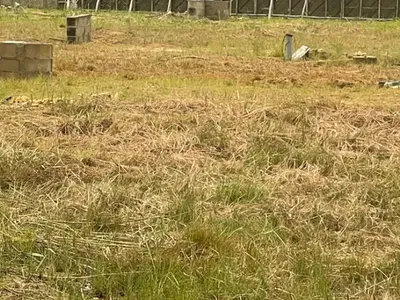 Dry Empty Land