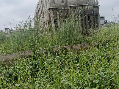 Half Plot of Land, 335SQM, with Existing 36 Pilling Points