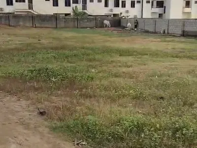 2, 064SQM, Residential, C of O