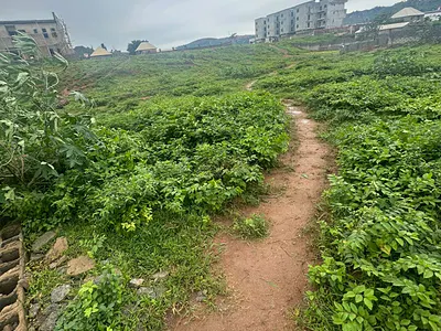 C of O, 1, 500SQM of Residential Land