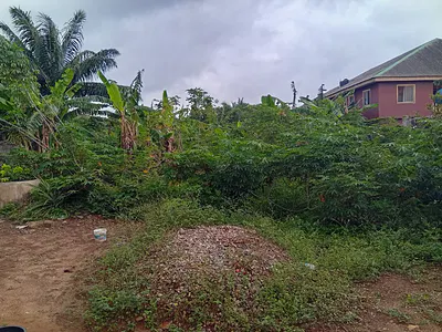 A Plot in a Choice Location