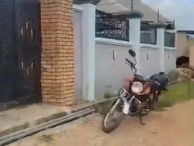 4 Bedroom Bungalow