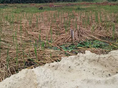 Landed Property