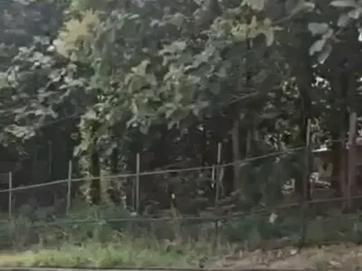 1.3 Hectares of Land