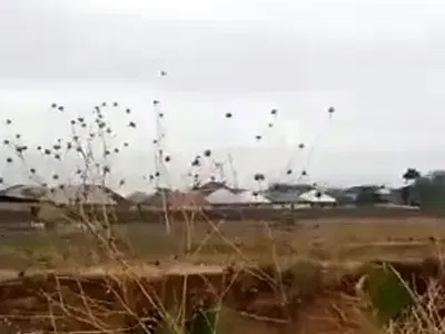 1 Hectares of Land
