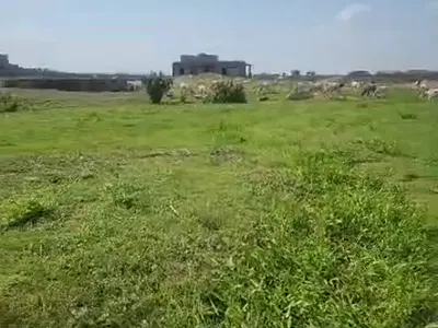 4, 600 SQM of Land