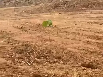 5000 SQM of Land