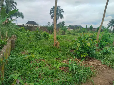 Well Located Half Plot of Dry Land