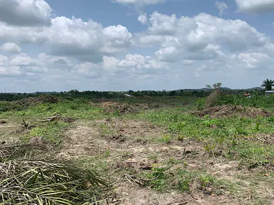 Secured Land with Excision
