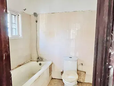 Shared Apartment