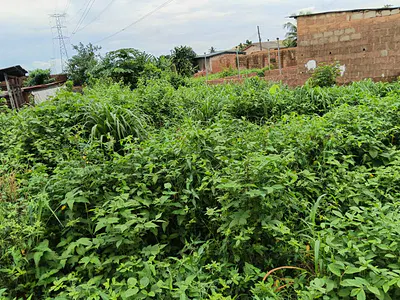Fenced Two Plots of Land Measuring Approximately 120FT by 120FT