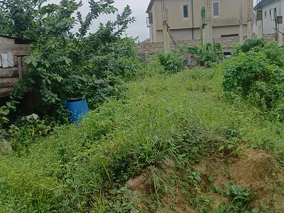 800SQM of Fenced Land with Borehole