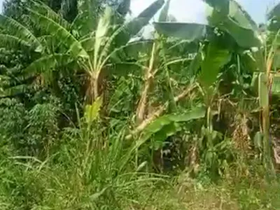 Land Property