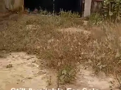 Mixed Used Half Plot of Land