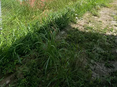 Investment Opportunity: Prime Land